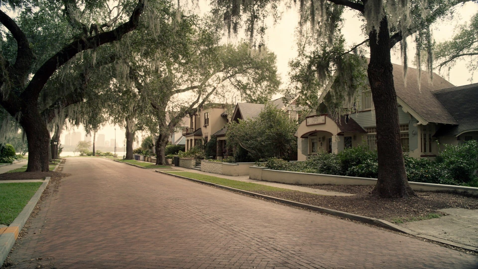 Brick paved street in a historic Orlando, Florida neighborhood, with 1920s Craftsman bungalows beneath arching live oaks hung with Spanish moss.