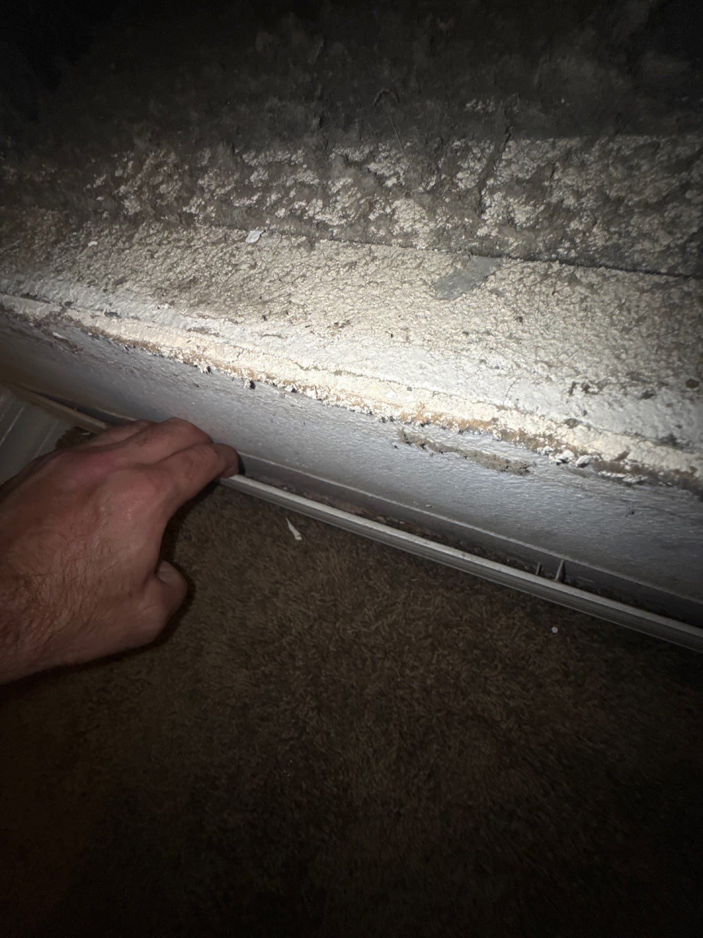 A crew member lifting carpet to expose water damage underneath