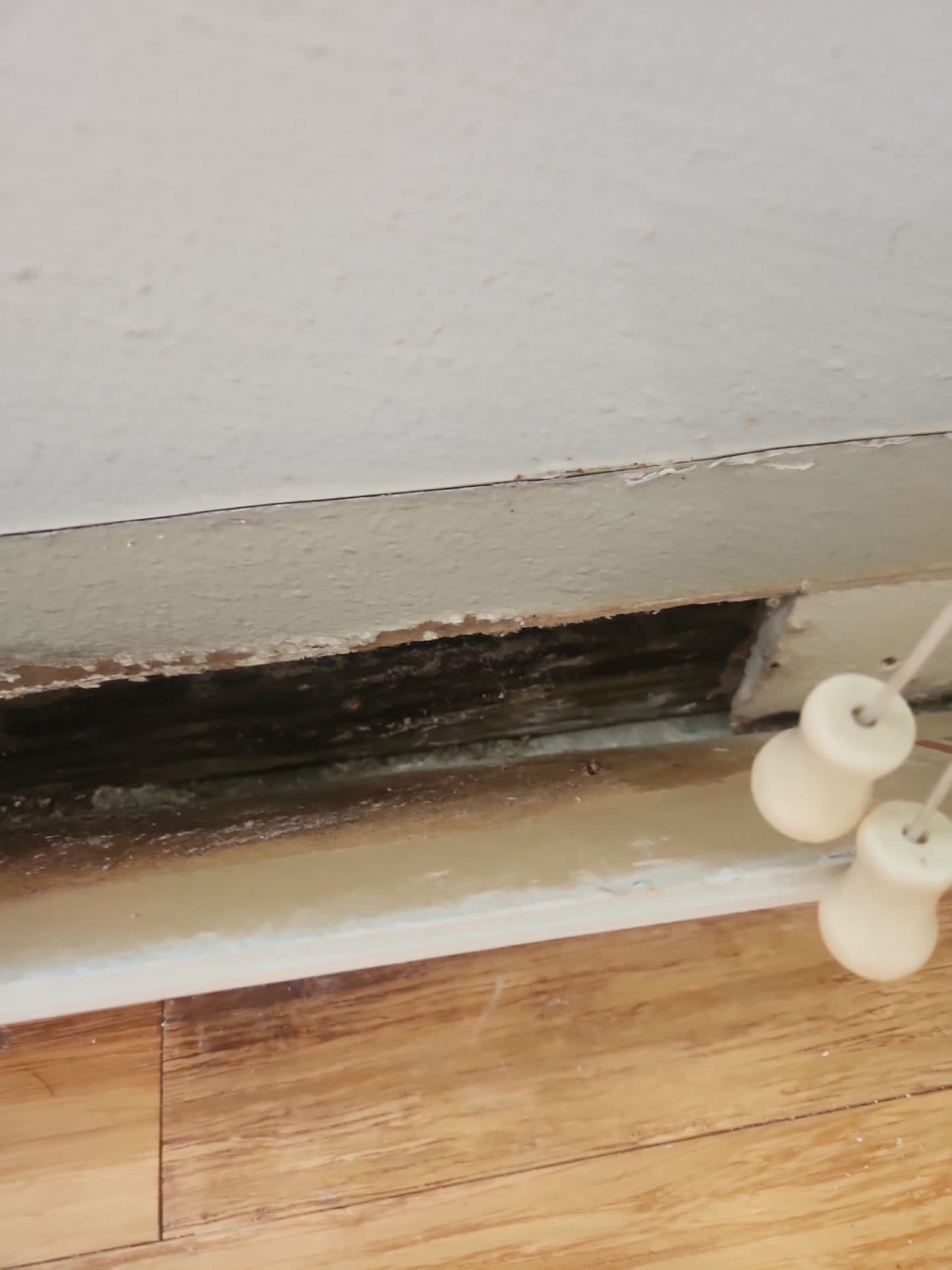 Mold growth along a baseboard where a wall meets the floor