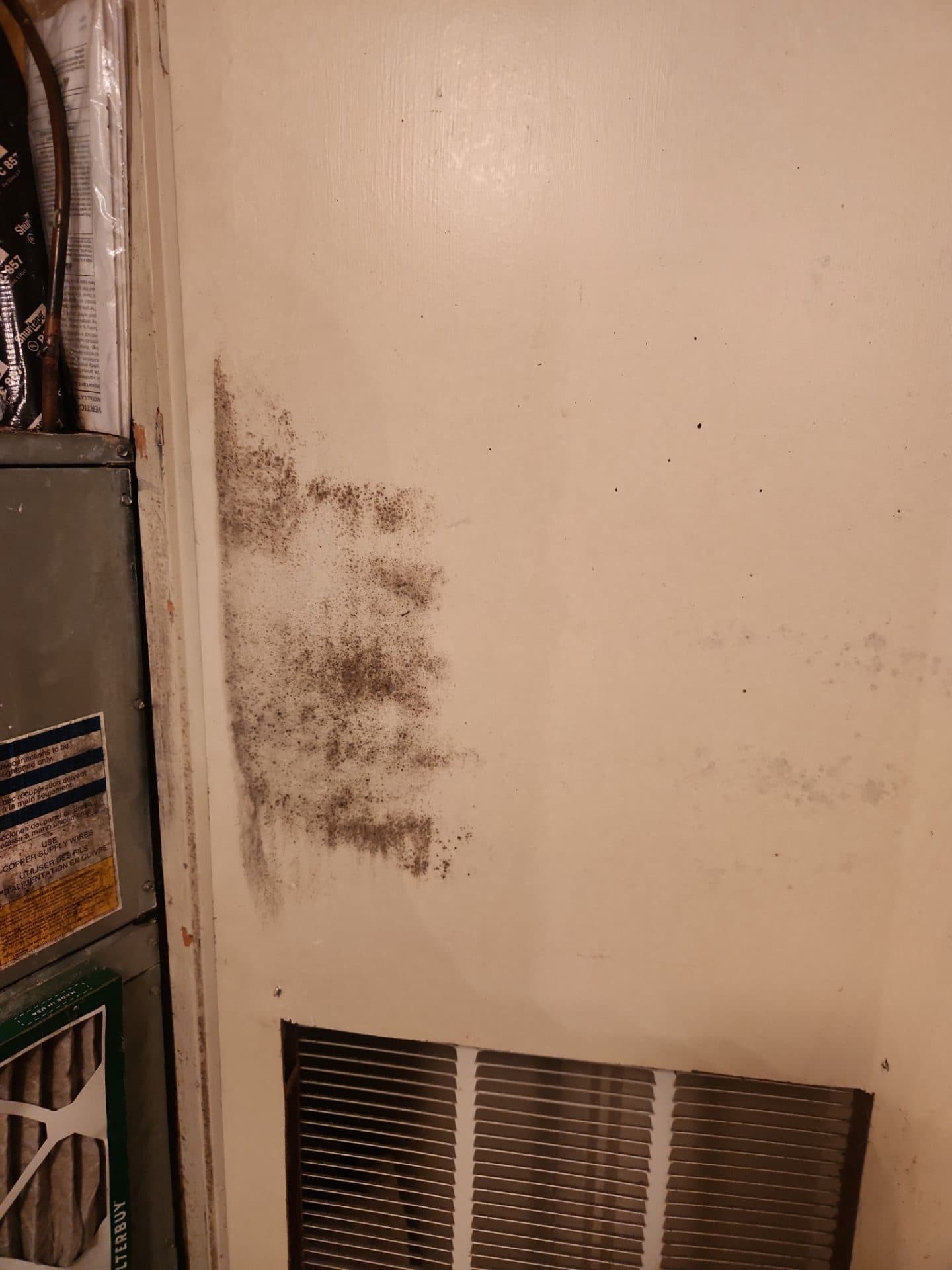 Mold growth on a wall beside an air return vent